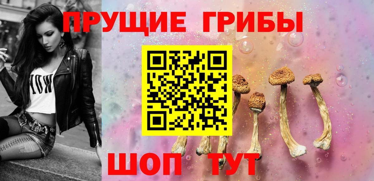 купить   Псилоцибиновые грибы мицелий  Вход с VPN  Спасск-Дальний 